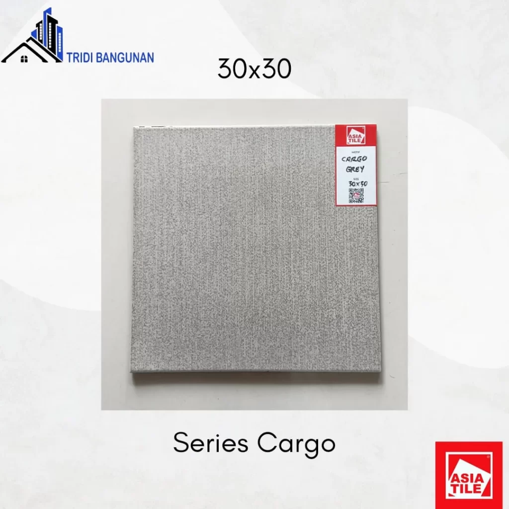 Asia Tile 30x30 cargo grey