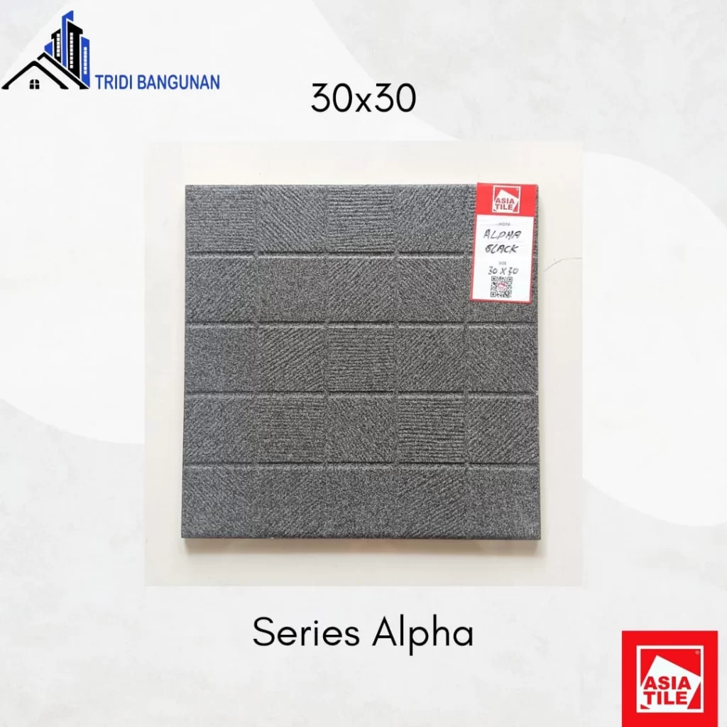 Asia Tile 30x30 Alpha Black